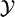 \mathcal{Y}